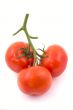 Three full red tomatoes on a branch.