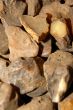 amber stones