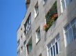 flowers on balcony