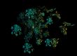 Flowers in the night