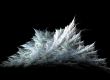 The ice crystals