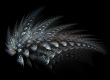Bird feather