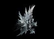 Icy fir tree