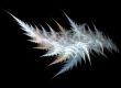 Icy branch