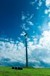whirling sky