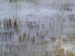 water in motion