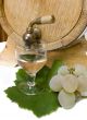 Still-life with white wine