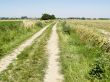 Country road