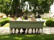 Five women on the bench