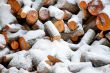 Stack of the firewood