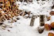 Stack of the firewood