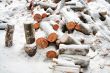 Stack of the firewood