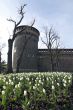 Milan - Castello Sforzesco