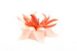 beautiful decorative candle as red flower