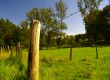 late summer