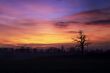 Morning Sky