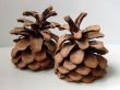 Cedar