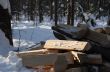 Firewood on snow.