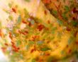 Aphids Infestation 6392