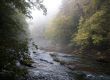 Rural River in early fall