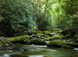 Peaceful river flowing over rocks