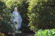 Virgin Mary Statue