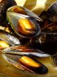 Cooked mussels