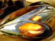 Cooked mussels