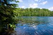 Summer at the forest lake