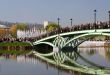 Bridge and dansint fountains