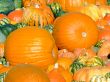 Pumpkins background