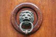 Doorknocker with lion head