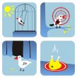 All about birds
