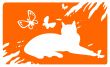 Laying cat and butterflies