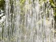 Jets of water of a fountain