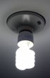 Lighting self-ballasted fluorescent lamp