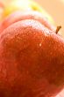 apples
