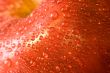 apples