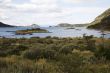 beagle channel
