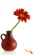 gerber in a vase and couple single petals