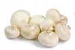 Champignons