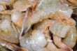 Shrimp