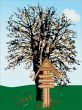 Wooden signpost