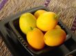 kumquats