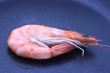 Shrimp on a pan