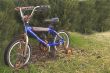 Rusty Bike