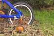 Rusty Bike