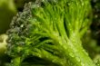 broccoli water