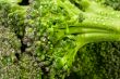 broccoli water