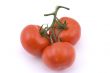 Three full red tomatoes on a branch.